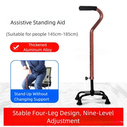 Anti-slip walking stick